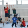 FMM_9862.JPG