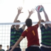 FMM_9951.JPG
