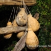 visita_al_vecchio_mulino-19.jpg
