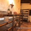 visita_al_vecchio_mulino-6.jpg