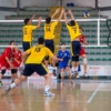 foto_azione_2-13.jpg