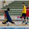 foto_azione_2-6.jpg