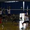 DSC08675.JPG