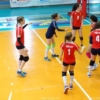 DSC09880.JPG
