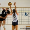 DS7_5961.JPG