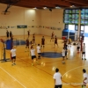 DS3_7848.JPG