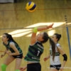 DS7_6995.JPG