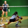DS7_7132.JPG
