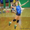 DS7_7195.JPG