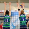 DS7_8175.JPG