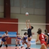 IMG_3590.JPG