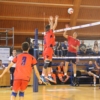 IMG_3223.JPG