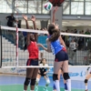 IMG_2386.jpg