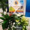 TdTConfStampa10.jpg