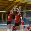 DSC_1411.jpg