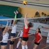 DSC_2011.jpg