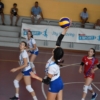 DSC_2763.jpg