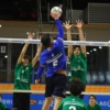 IMMAGINE_29.jpg