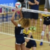 D4S_1972-637920483930452466.JPG
