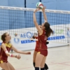 D4S_2154.JPG