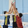 D4S_2816.JPG