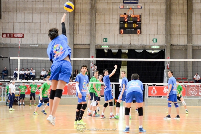 Tdp_2017_azione_2.jpg
